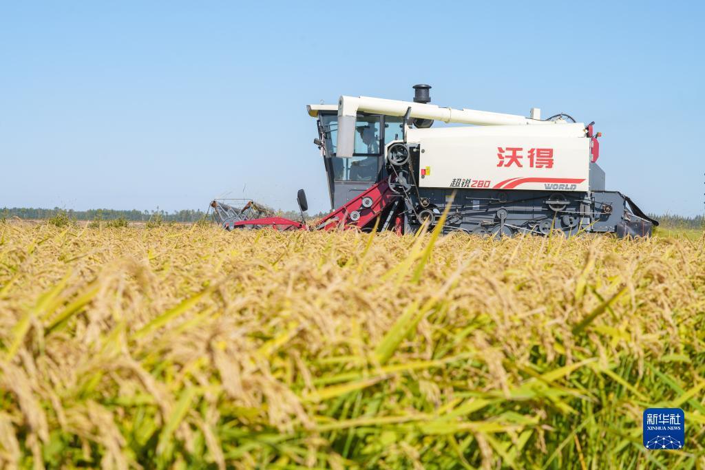 大宝lg娱乐